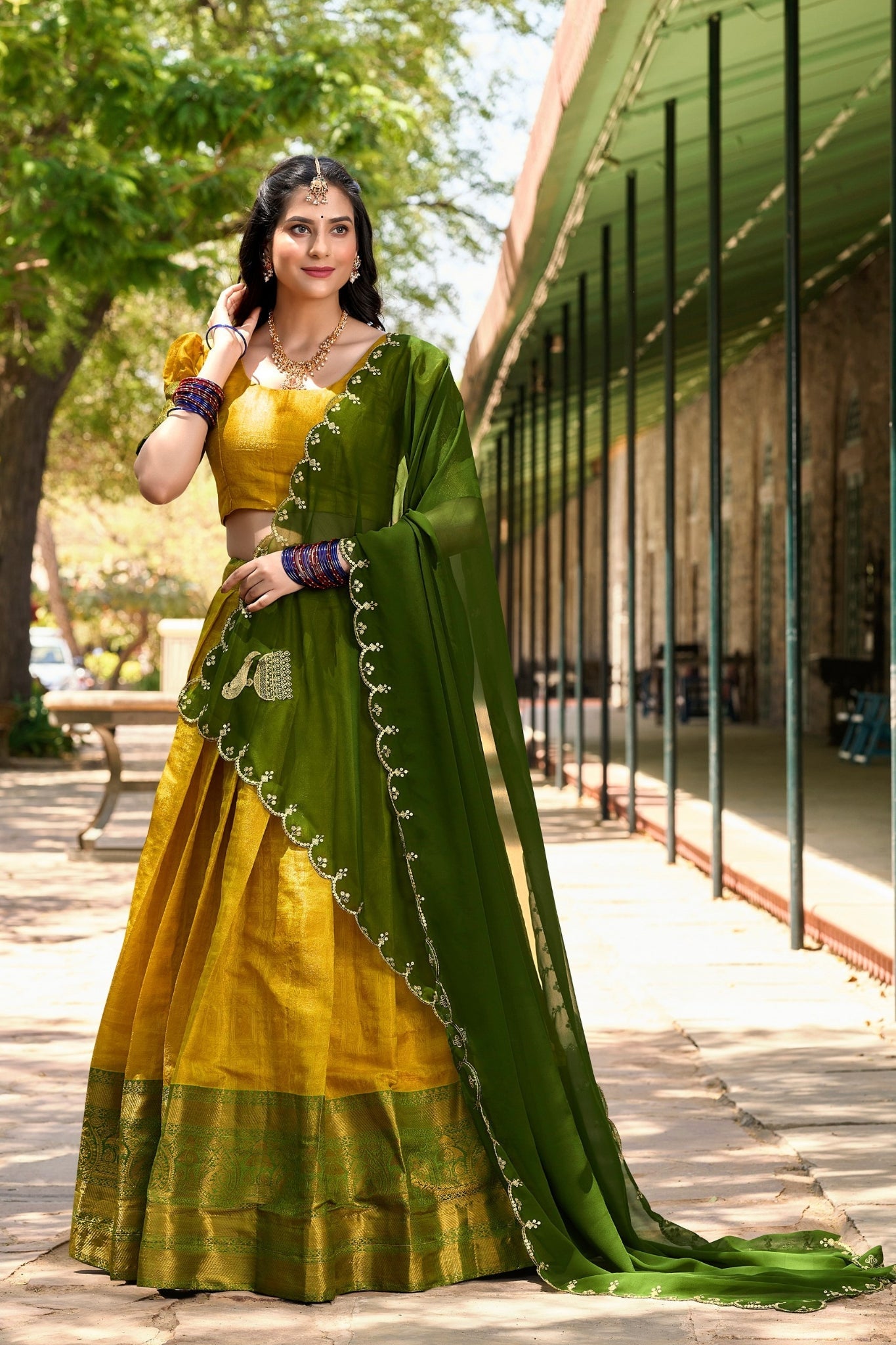 Elegance Kanjivaram Zari Work Lehenga Choli